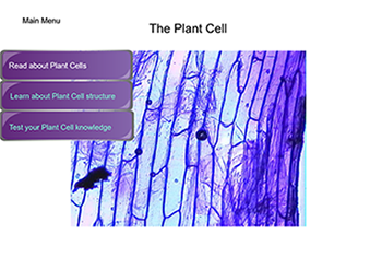 Plant Cell Slide